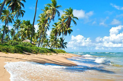 Descripción de la imagen 1