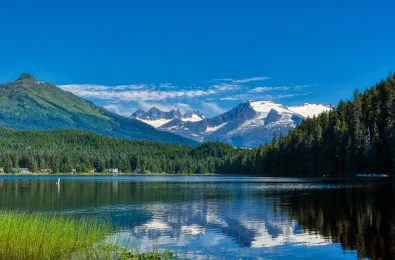 Descripción de la imagen 1